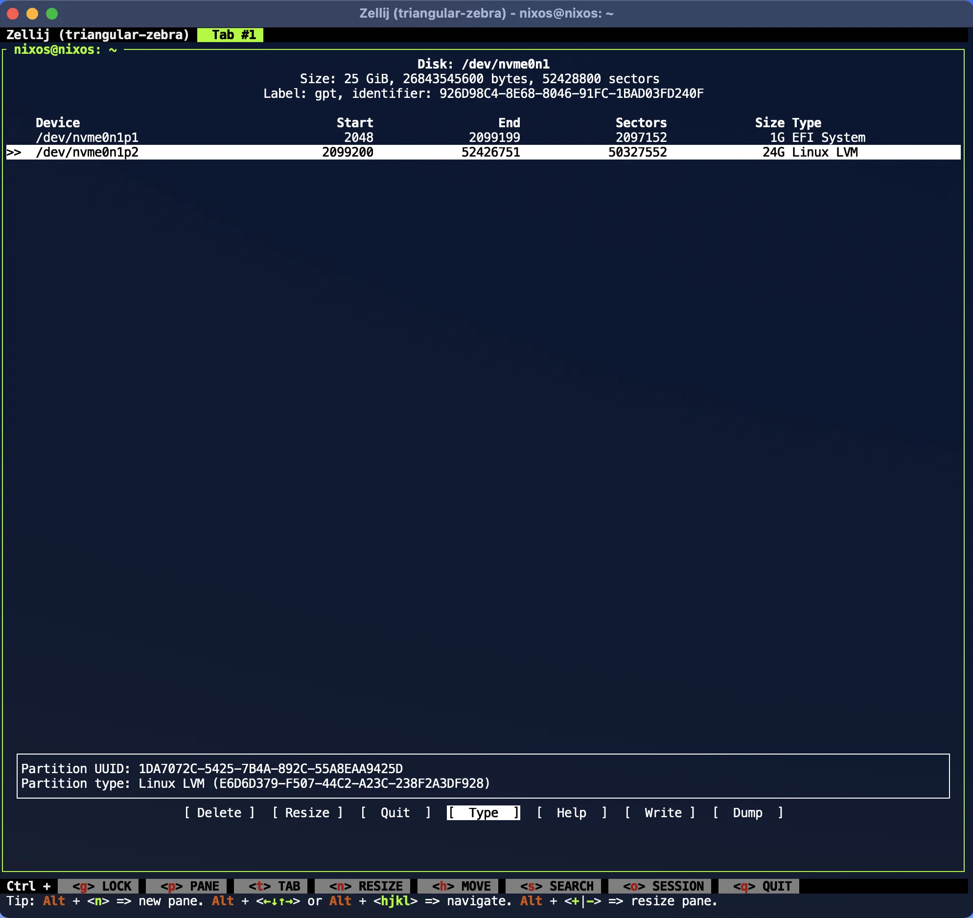 Nixos Partitioning